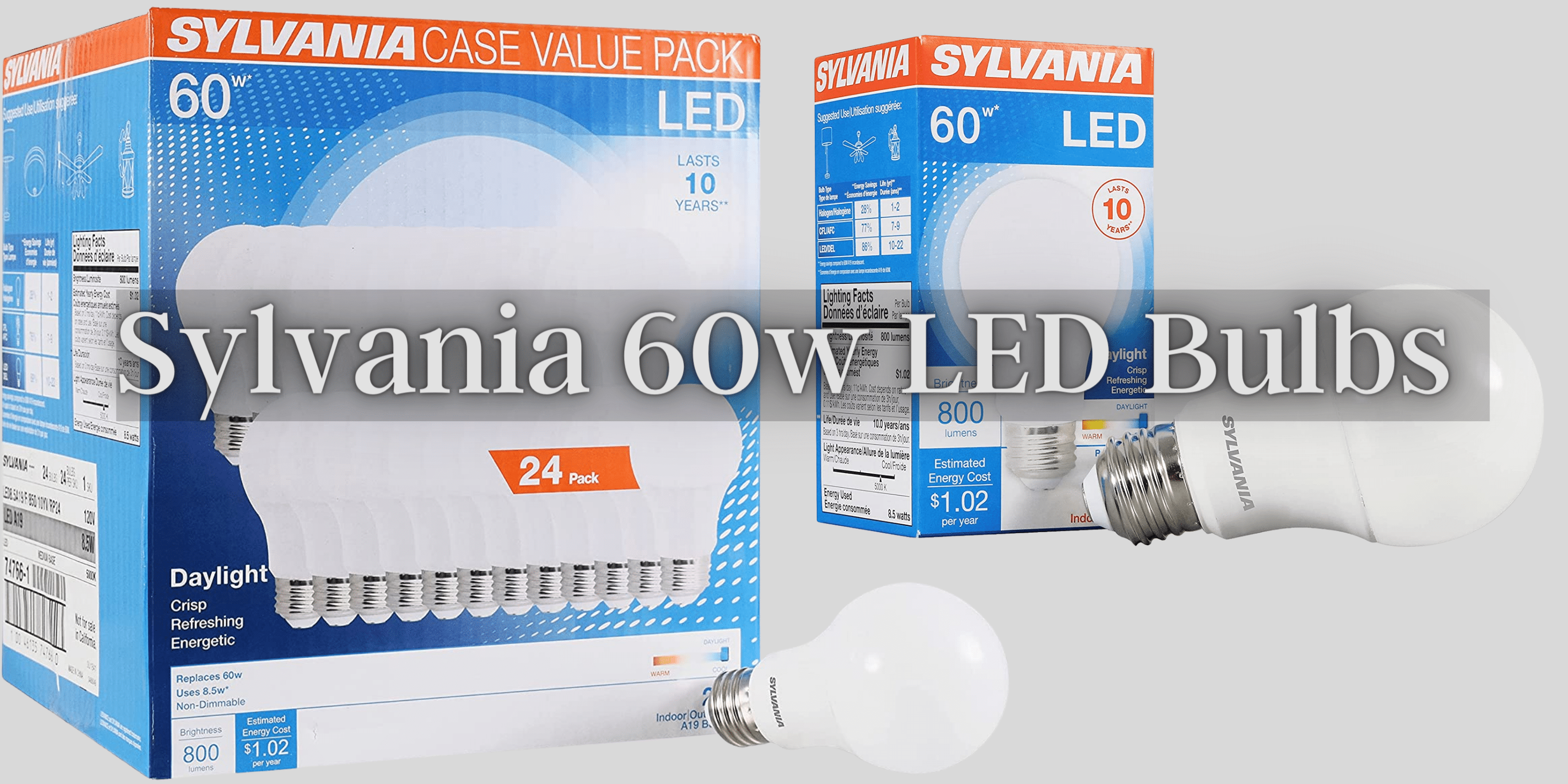 Sylvania A19 LED Bulbs: The Complete Guide