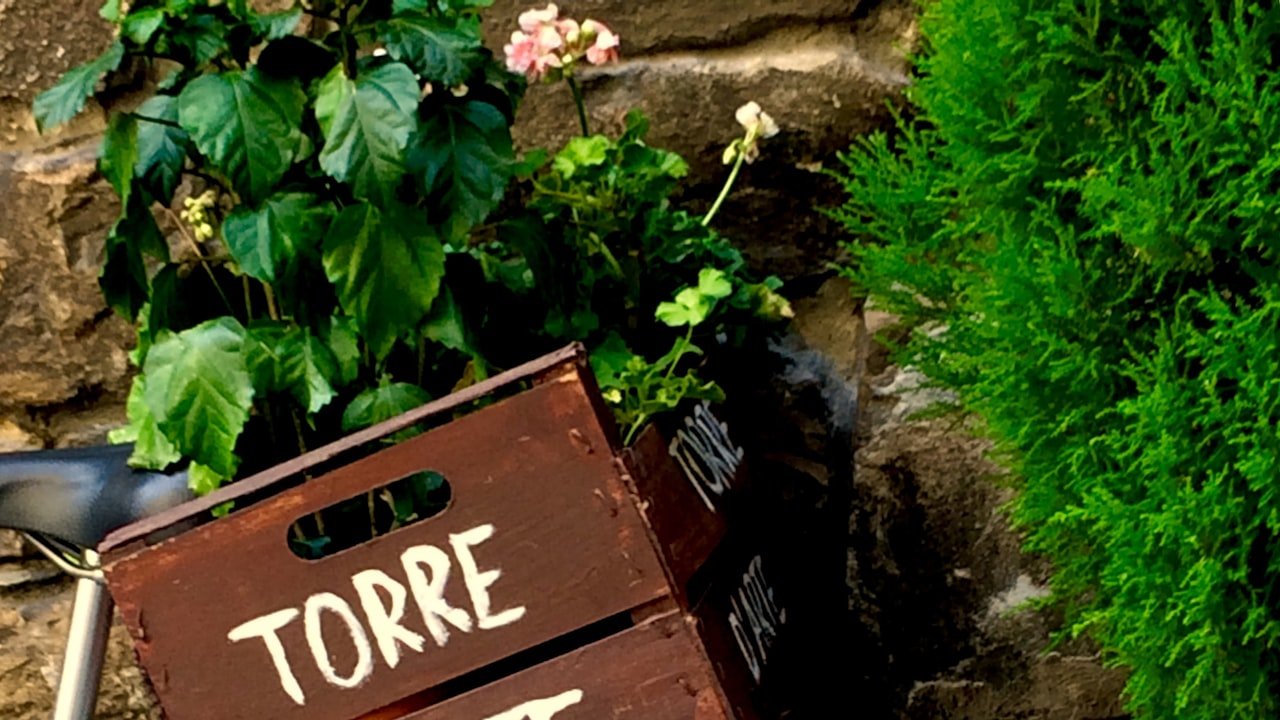 Comprehensive Guide About Installing a Wheel Bearing Hub Assembly at the Front of Your Vehicle